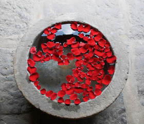 Bowl of water with red petals floating